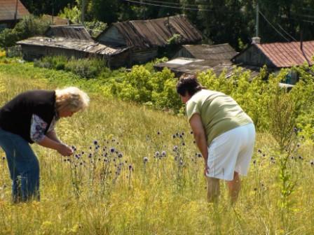 2009 Дорога в Екатеринбург